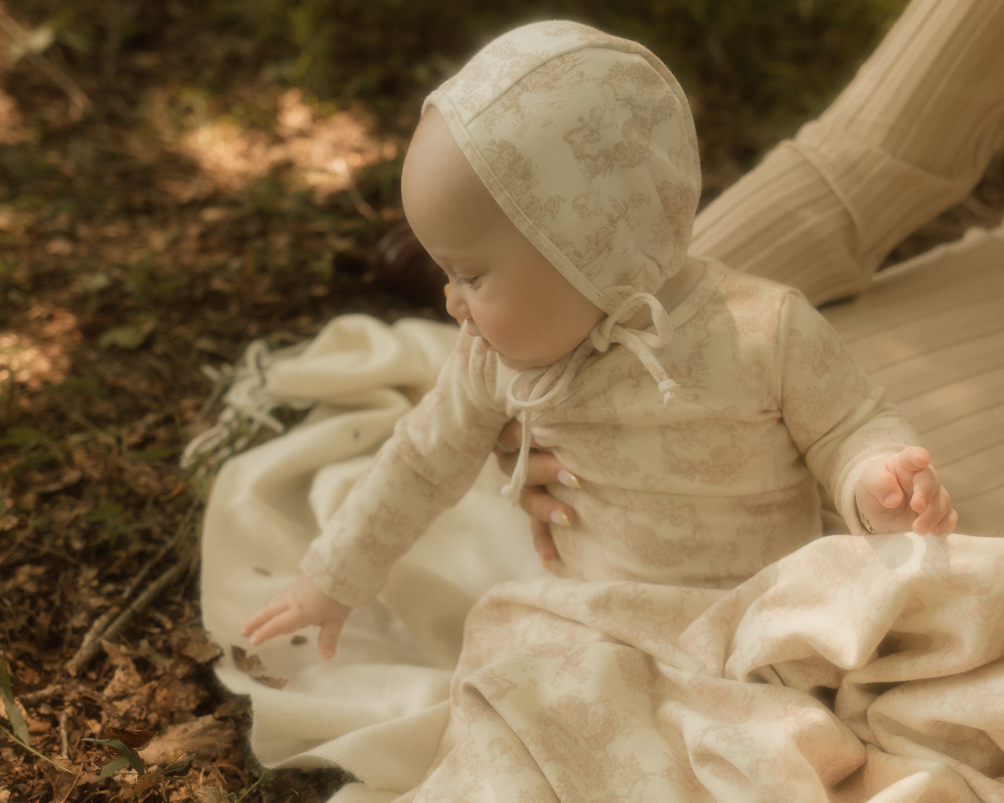 Toile Collection AW25-26